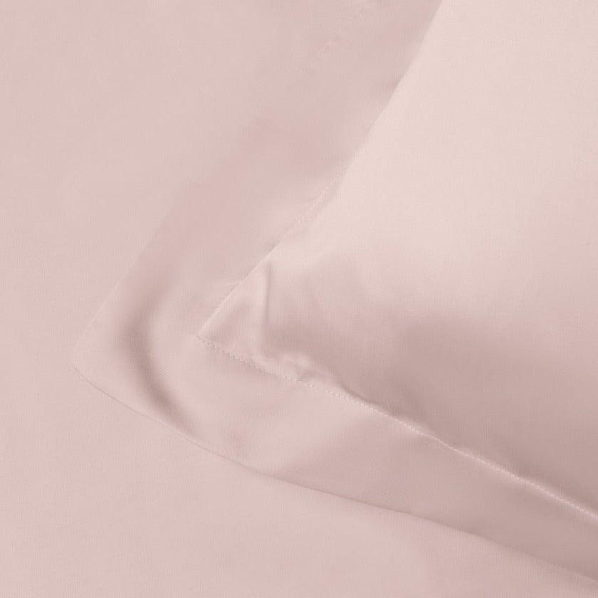 Summer Transformation Bundle in Rose